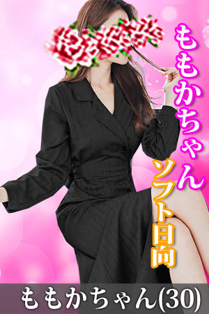 �f���w���\�t�g�����@�����������